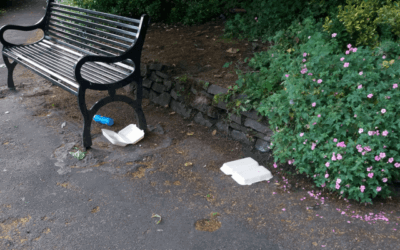 Confessions of a litter picker
