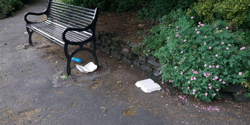 Confessions of a litter picker