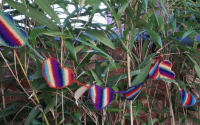 Wrap-ups from the Knitters!