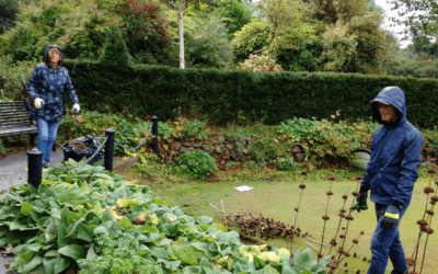 Tidy in the Park - Notes from 8 Sept 2018
