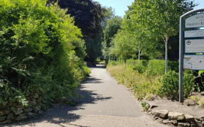 Our park: could it work smarter, not harder?