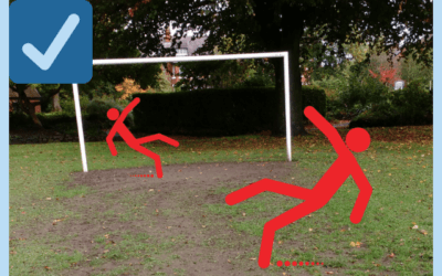 Please support our plan to rejuvenate the playing field