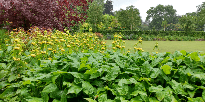 Springtime in the Park