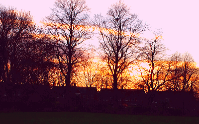Winter in the Park