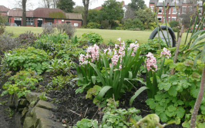 What has Heaton Moor Park ever done for us?