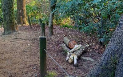 Friends rescue owls, signs and border space in the Park