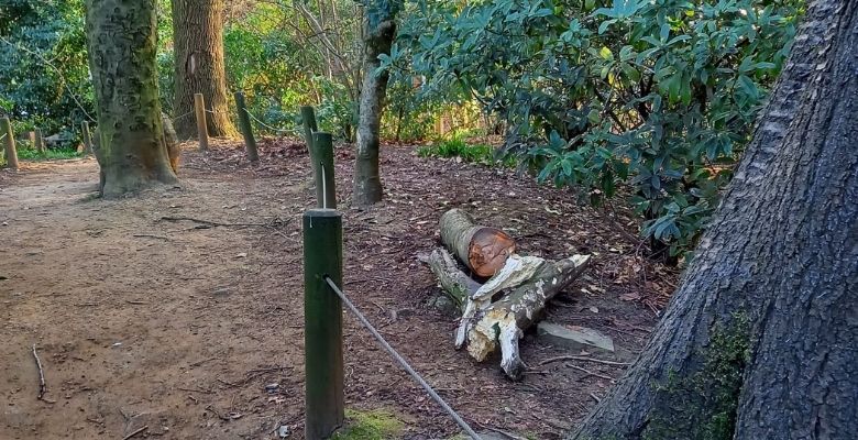 Friends rescue owls, signs and border space in the Park