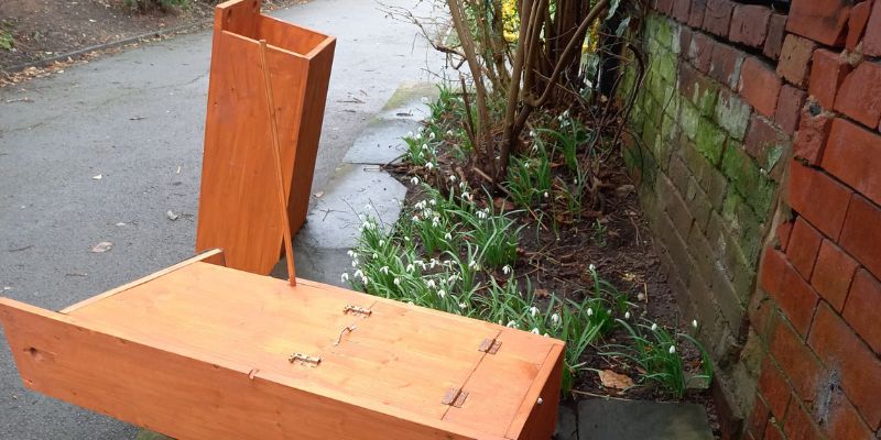 Owl boxes in the park