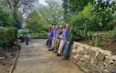 Dry stone walling in the park