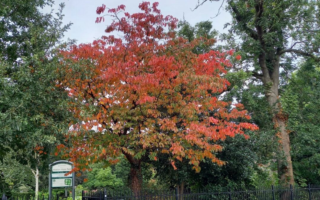 Signs of Autumn