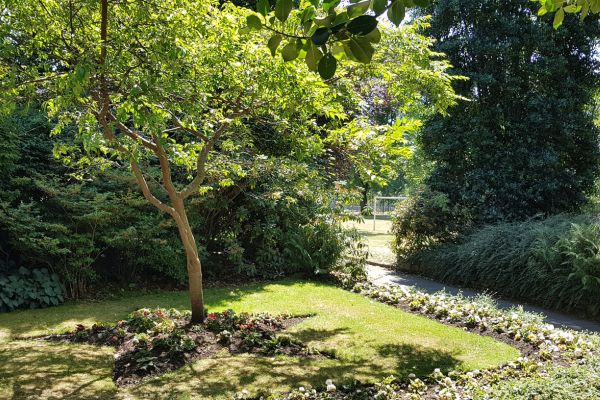 Invitation! – Evening in the Park