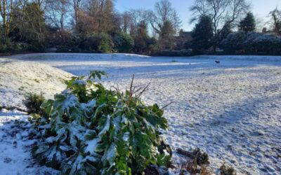 Winter Cheer in the Park – 13th Dec