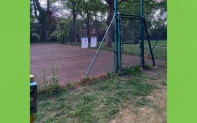 Bee Trail at the Park