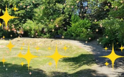 Brownies bring sparkle to the park