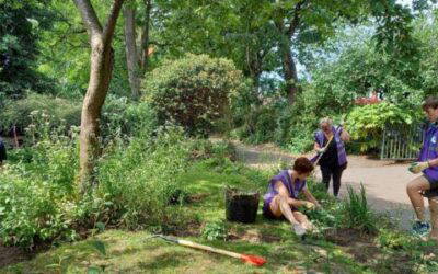 Summer solstice sees a spruced up Park