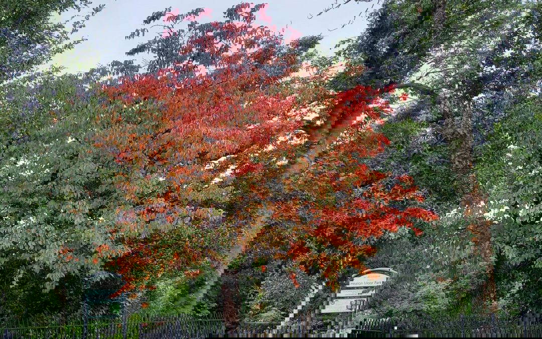 Park notes and news, September 2025