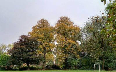 Park notes and news November 2025