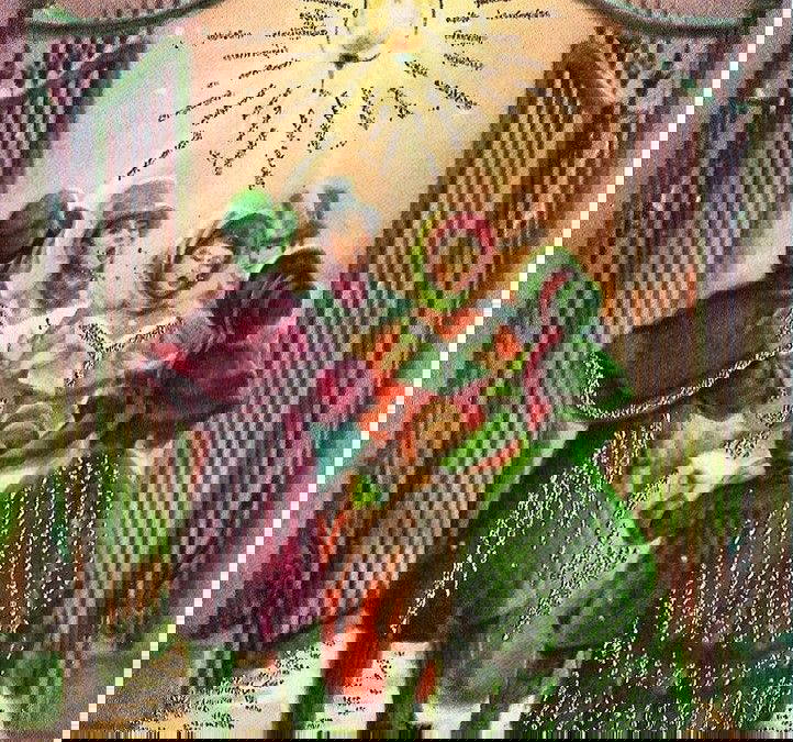 Park Notes Dec 2025: raptors, tredges, crocheted oysters and more