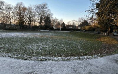 White Stuff in the Park