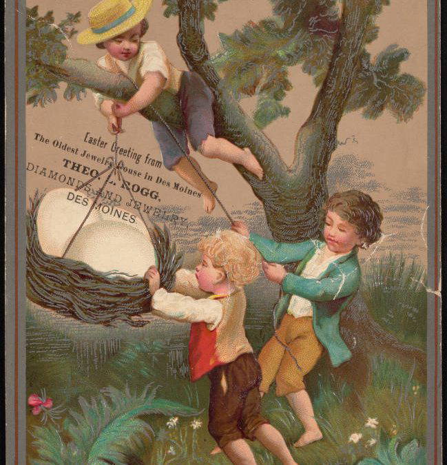 Chats with the trees, hyenas,  Winnie the pooh and black-capped lollies……