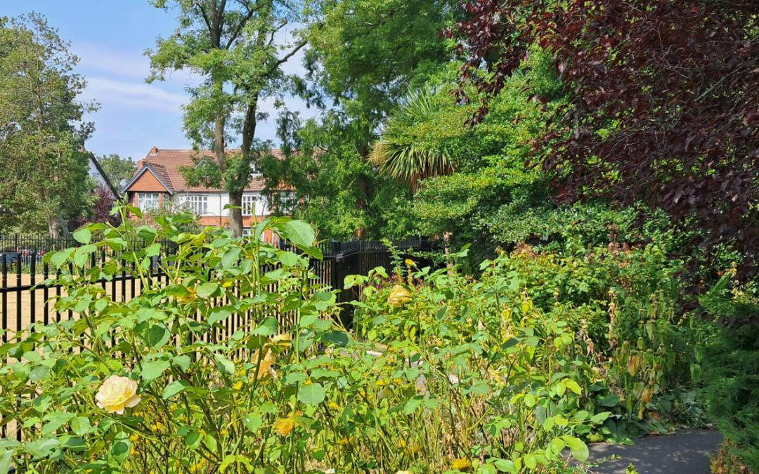 Summer gardening in the Park