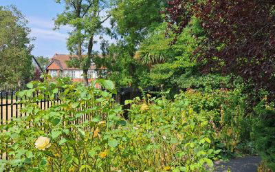 Summer gardening in the Park