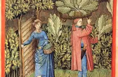 A communion of saints, a murder of crows, smart collars, and “doing what we’ve always done…..”